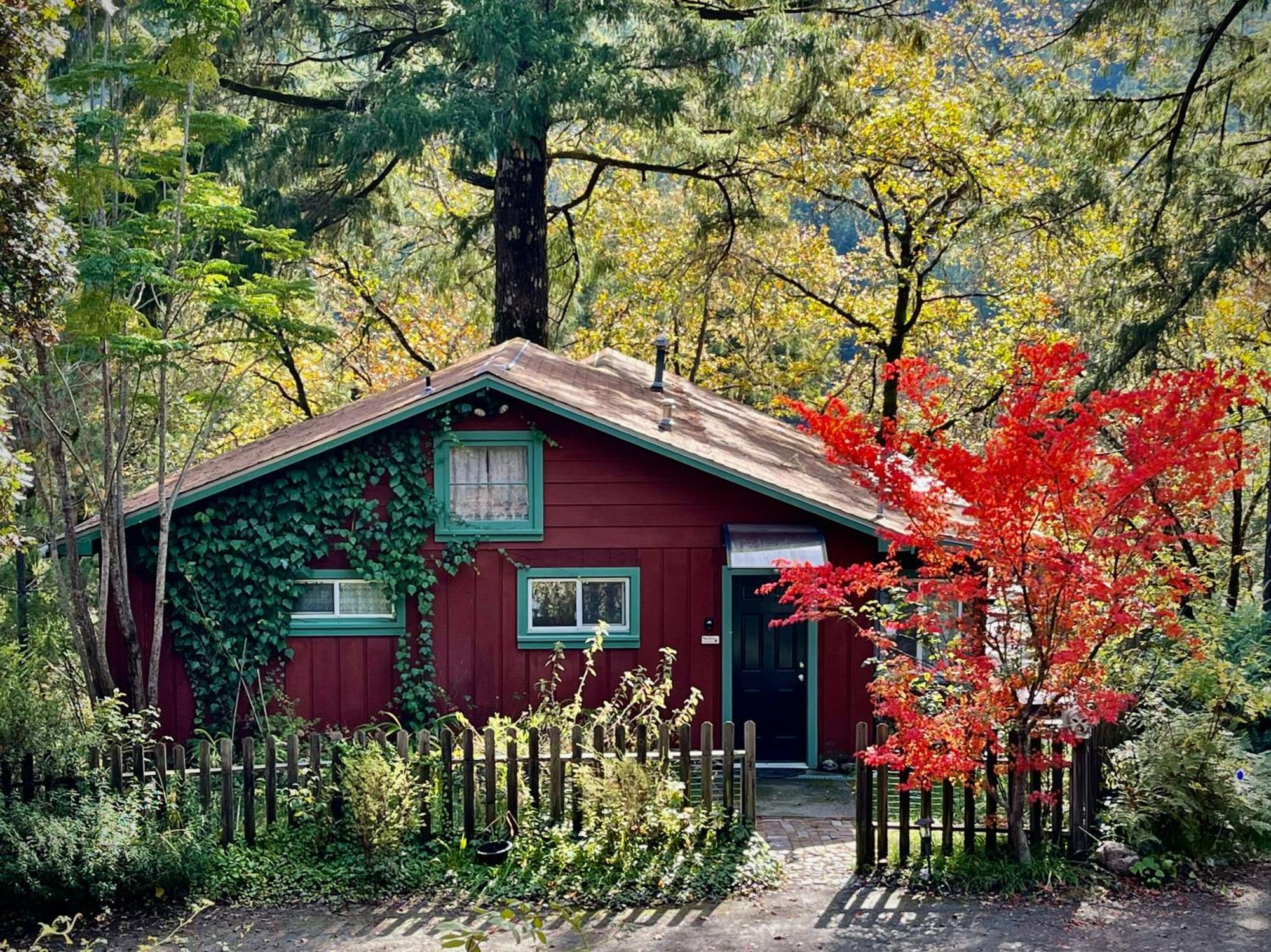 Avenue Of The Giants Caraway Cottage Miranda Eksteriør bilde